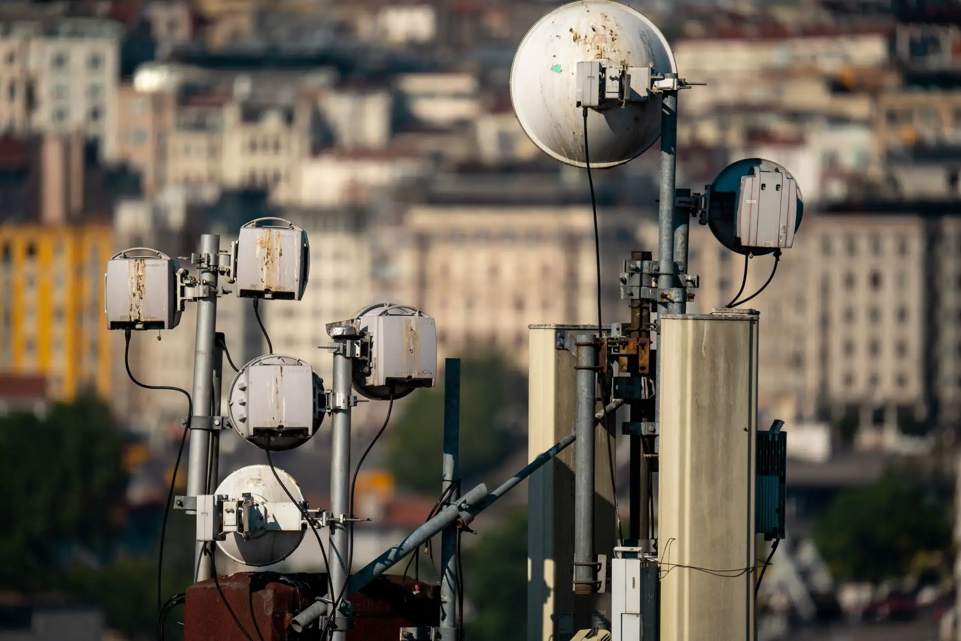 生鲜食品冷链物流技术升级对区域农业发展的推动作用