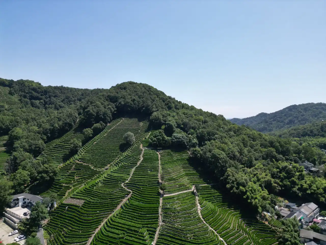 农副产品溯源体系建设对生鲜食品品质管控的价值分析