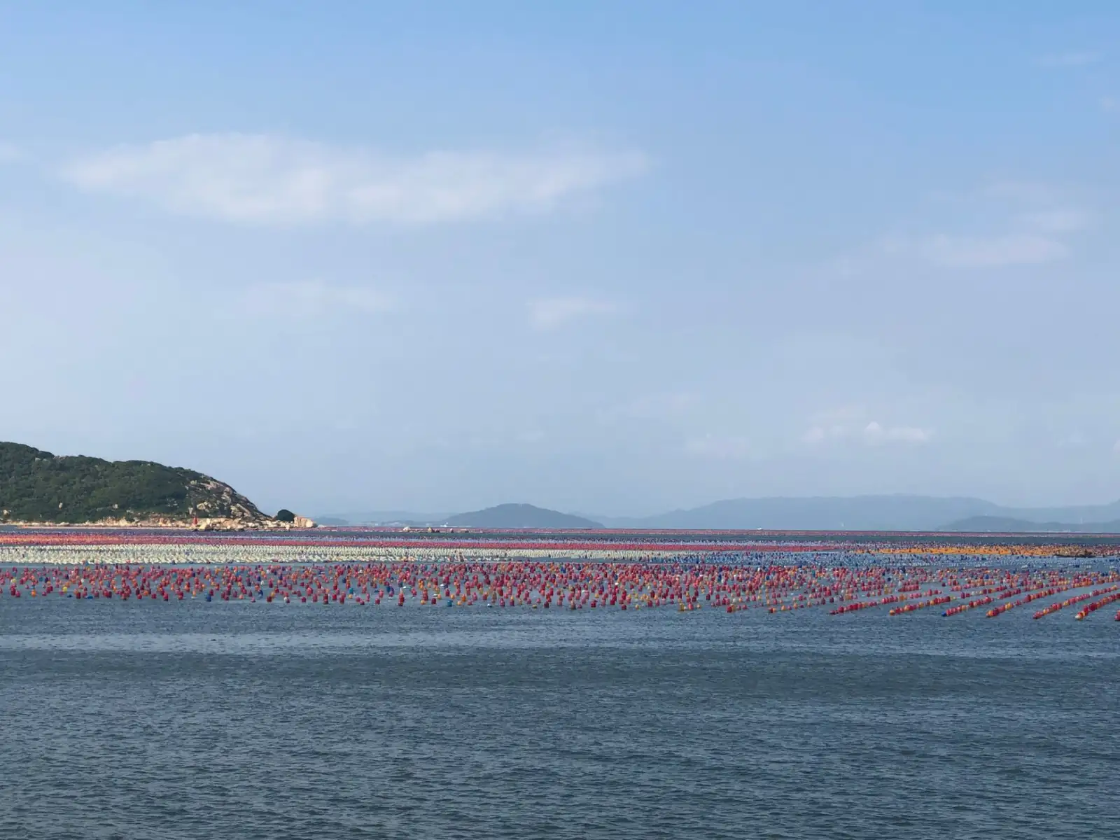 生鲜食材供应链质量管控要点及盐城本地化实施路径