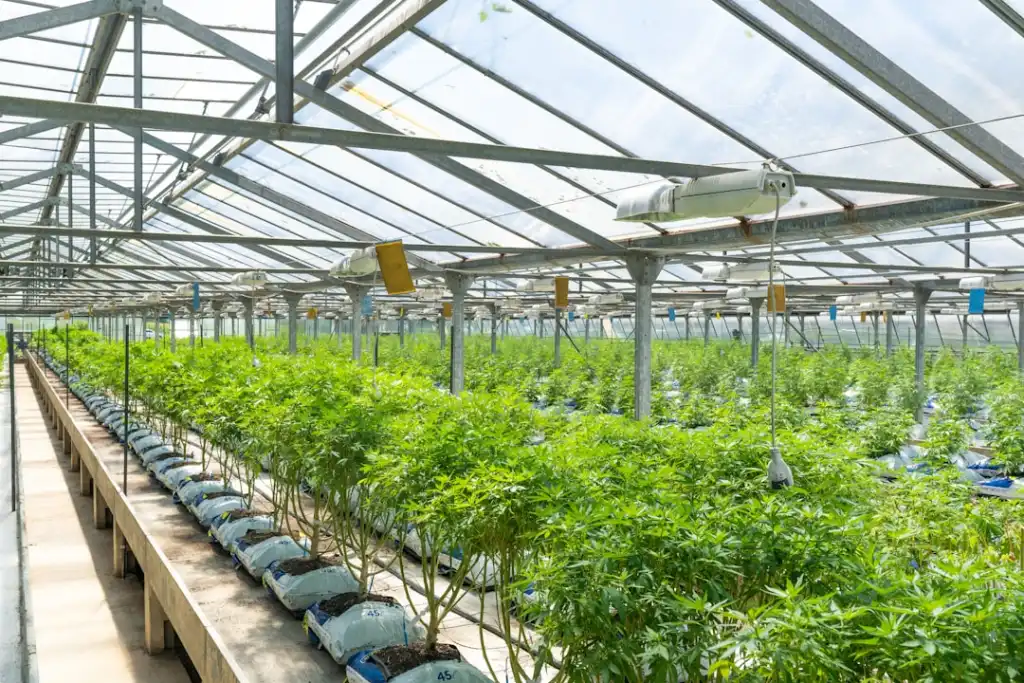 生鲜食材供应链质量管控要点与嘉诚农产品实践分享